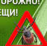 Нажмите для просмотра в полном размере... - Иланский район