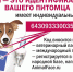 Нажмите для просмотра в полном размере... - Иланский район