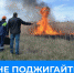 Нажмите для просмотра в полном размере... - Иланский район