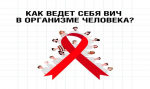 О рисках передачи вируса иммунодефицита человека.